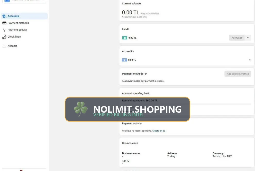 Financial Ledger Reconciliation for Prepaid Ad Accounts: Auditing Net ROAS & Spend